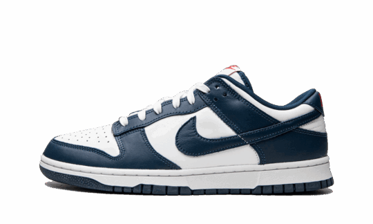 Nike Dunk Low Valerian Blue