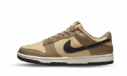 Nike Dunk Low Dark Driftwood