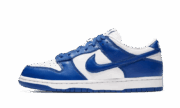 Nike Dunk Low SP Kentucky